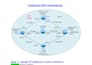 fix network issues and provide professional IT support